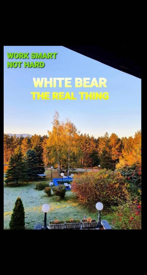 White Bear * Zlatibor